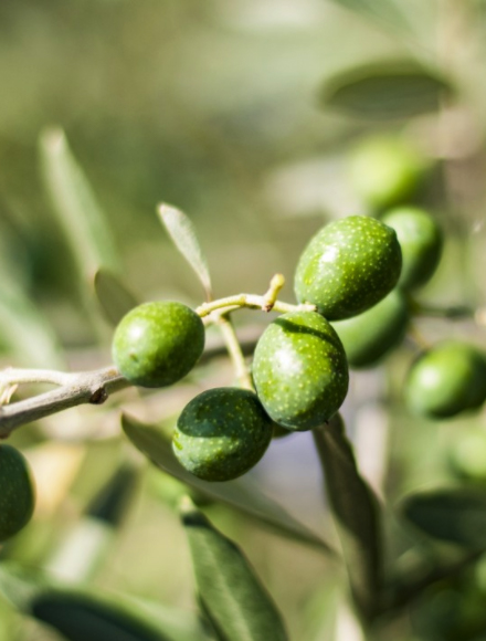 广东会·(中国区)有限公司官网